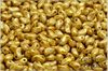 Lily Petal 4x6 mm - Chalk Herbs&Spices Curry, 30 ks Lily Petal 4x6 mm - Chalk Herbs&Spices Curry, 30 ks