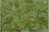 List bobkový 6x12 mm - Rosaline, Light Green Wash, 20 ks List bobkový 6x12 mm - Rosaline, Light Green Wash, 20 ks